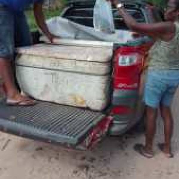 Prefeitura de Porto Rico do Maranhão, realiza entrega de peixes para moradores da zona rural do Município